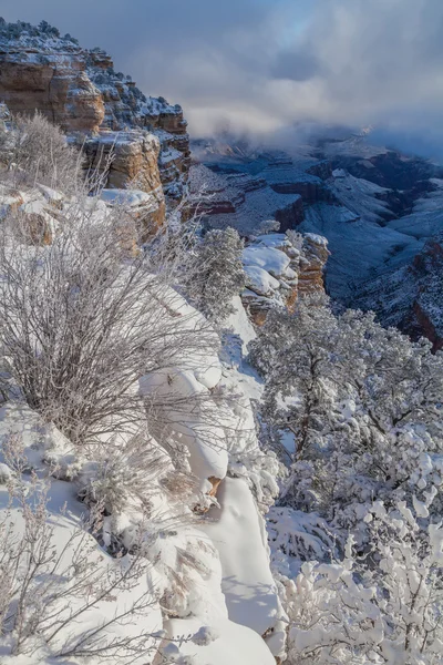 Grand Canyon Winter Snow