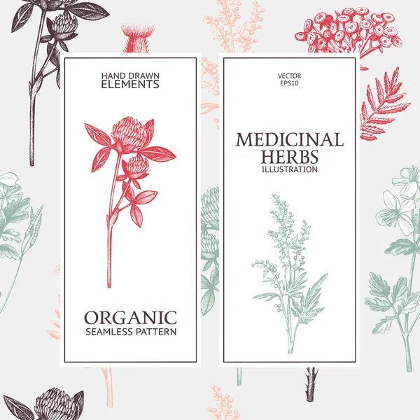 Decorative colorful background with medicinal herbs