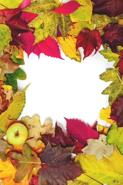 Frame of beautiful autumn fallen leaves. In corner of apple
