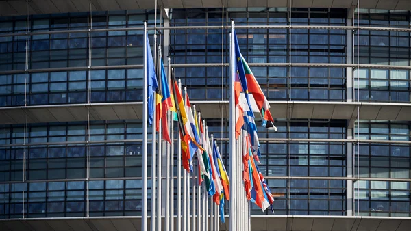 All European Union Flags Strasbourg Strasburg