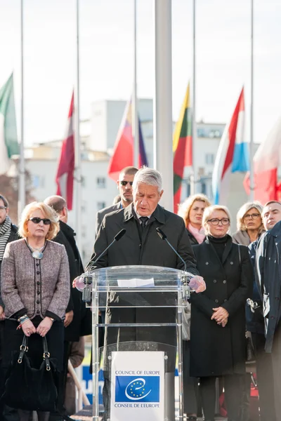 Minute of silence in tribute to the victims of Paris, Council of