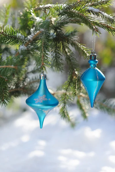 Christmas blue balls on fir branch