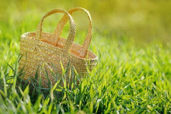 Empty wicker basket In fresh green grass outdoor