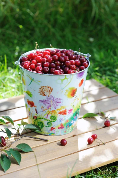 Ripe fresh cherries in a colored bucket and ripe cherries with leaves on wooden table in the garden