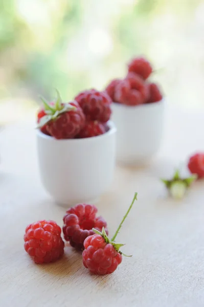 Little bowl of fresh raspberries outdoor