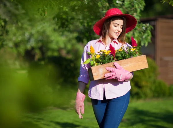 Woman with blooming celosia flowers