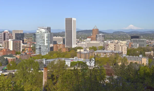 Portland city buildings panorama Oregon and Mt. Hood.