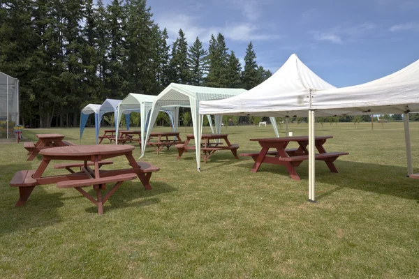 Picnic tables and tent gazebos on outdoor lawn.