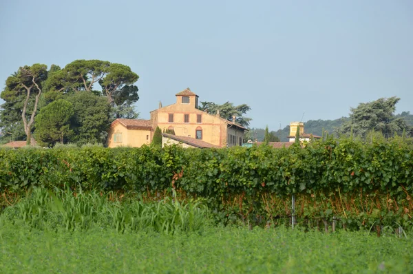 A farm and its vineyard in Brescia campaigns - Italy