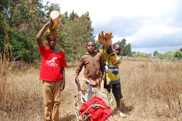 African children to work carrying firewood for cooking and heati