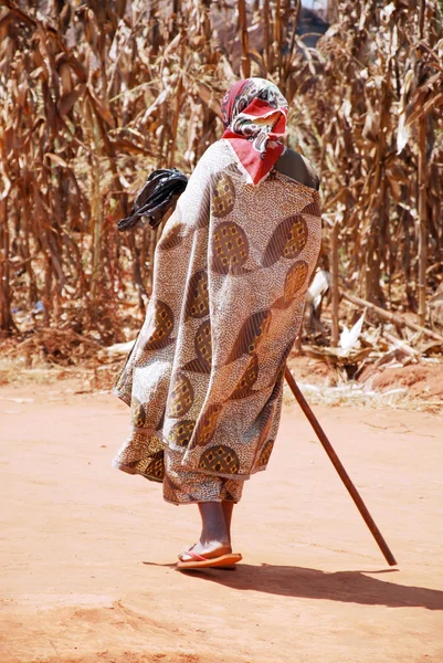 The return at home to Pomerini Village in Tanzania, Africa 701