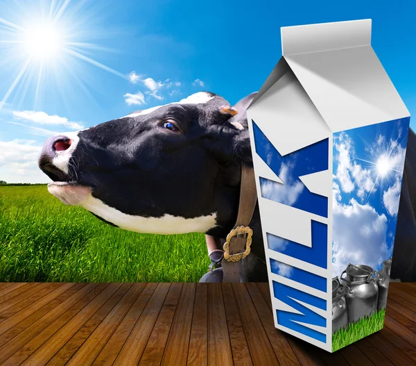 Milk Carton in Countryside with Cow