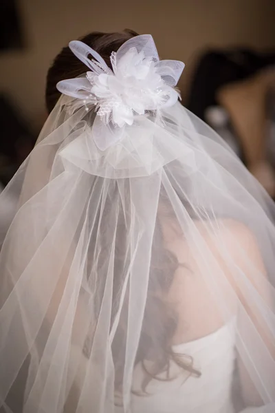 Bride with wedding veil