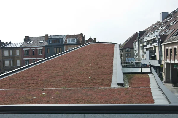 Low growing plants as insulation on the roof.