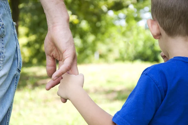 Father and son holding hands walking in the park