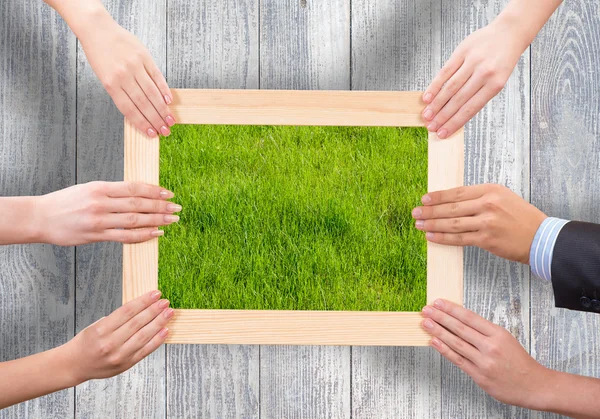 Wooden frame with grass