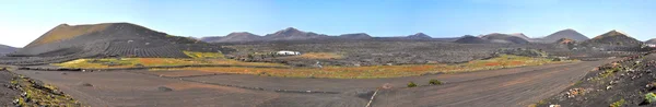 Panoramic view over volcanic agricultural lava landscape with wind protection on spanish canaray island lanzarote