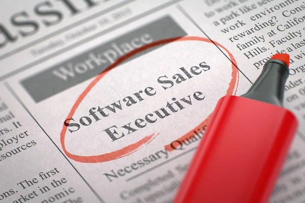 Now Hiring Software Sales Executive.