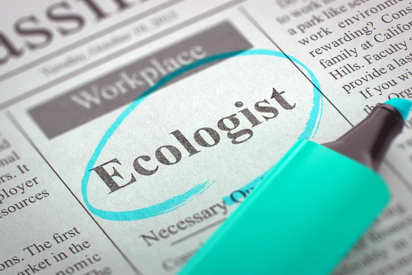 Were Hiring Ecologist. 3D Illustration.