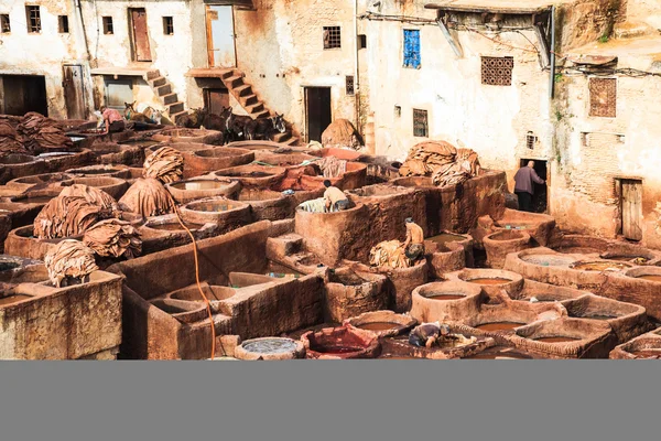 Leather tannery