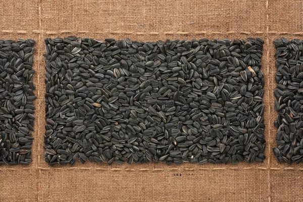 Sunflower seeds on sackcloth, with place for your text