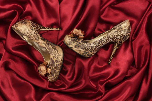 High-heeled shoes  lying on red  fabric