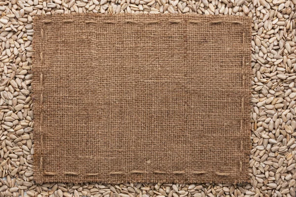 Frame made of burlap with the line lies on  sunflower seeds