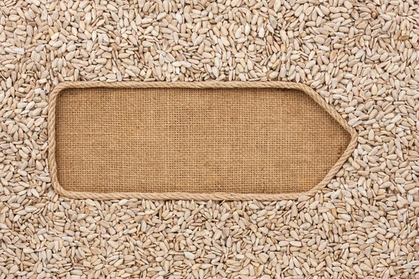 Pointer made from rope with sunflower seeds  lying on sackcloth