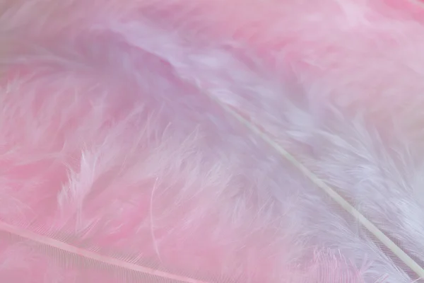 Background of close up image of pastel pink feathers