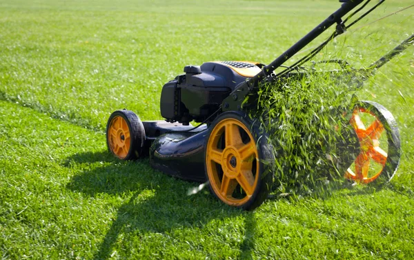 Lawn mower grass