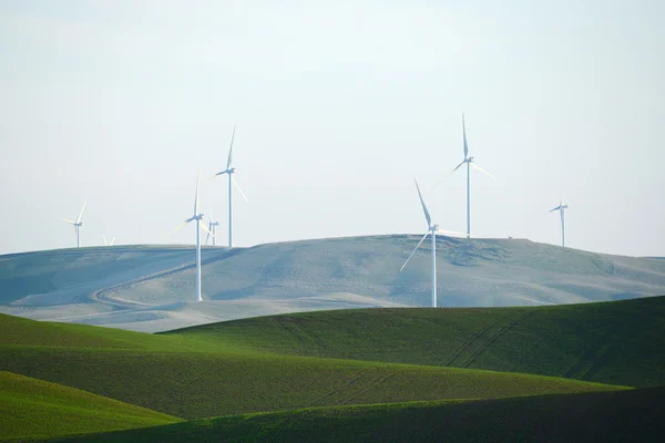 Wheat farm hill with wind mill