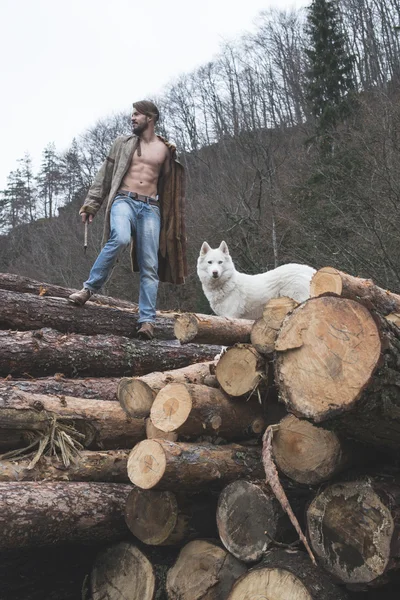 Man and dog on logs in forest