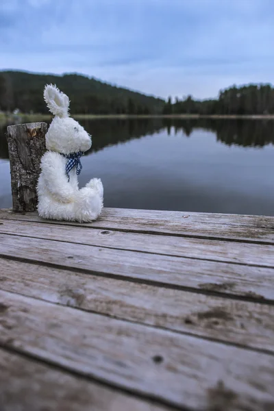 Fluffy toy bunny on pier