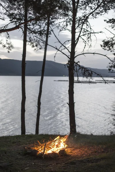 Fire in nature near lake