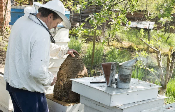 Beekeeper with honeycombs in hands