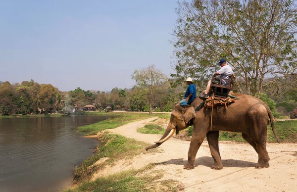 Natural area of Thai Elephant Conservation Center with elephant riders near the lake