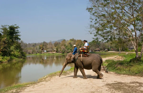 Tourists riding an indian elephant during bathing in lake