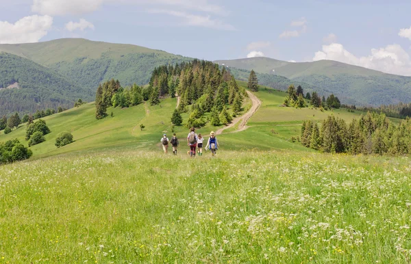 Tourists in small group in trekking travel on green hilly range of Carpathian mountains