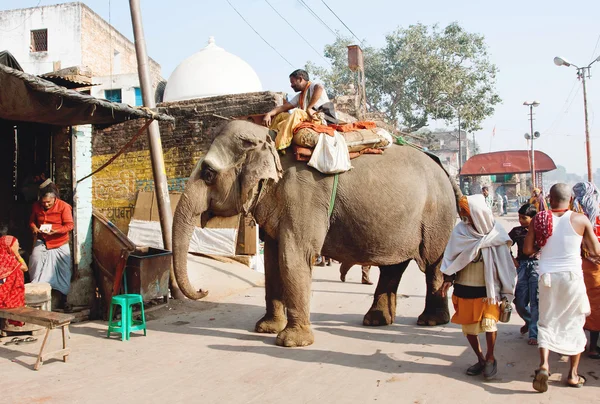Walking indian elephant in crowded village street