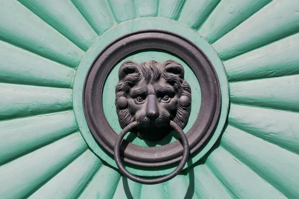 Head of a lion cub holding a door handle in his mouth, front door