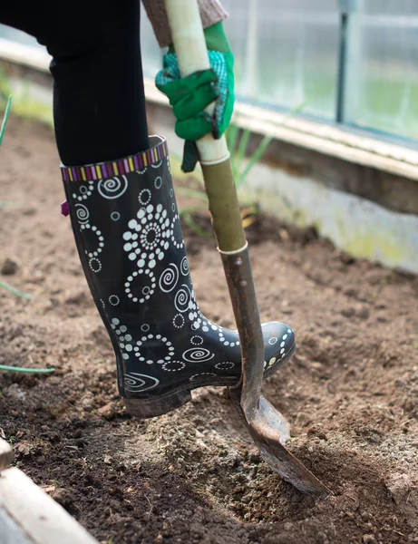 Woman\'s leg digging soil in greenhouse.