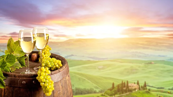 White wine with barrel on vineyard in Italy
