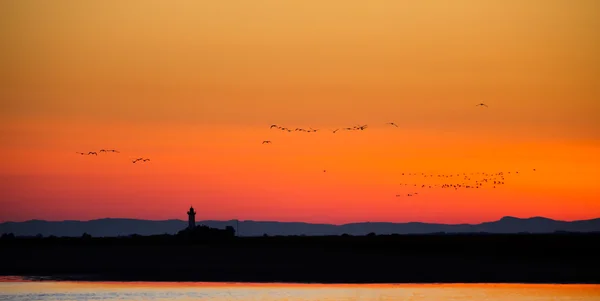 Old lighthouse silhouette in sunset light