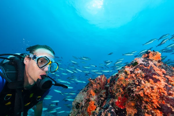 Young man scuba diver exploring sea bottom