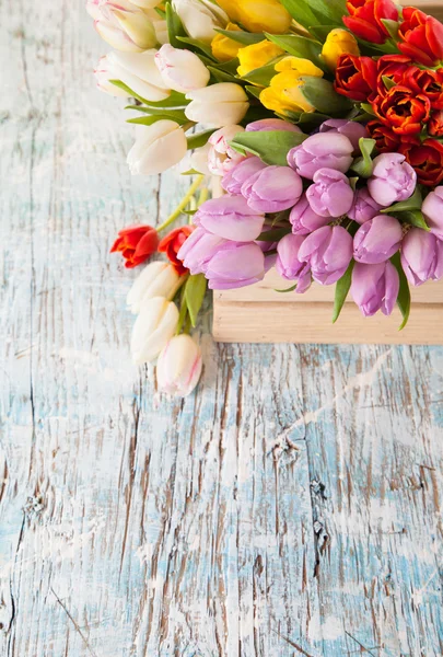 Colored tulips on wooden planks