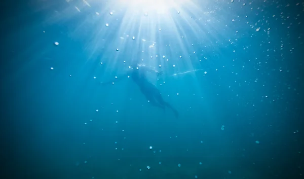 Silhouette of female freediver floating through sunbeams.