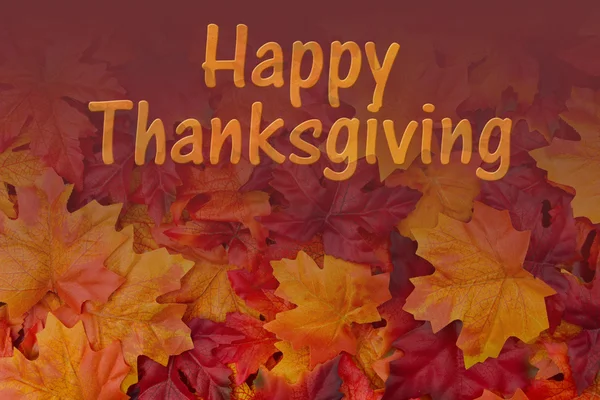 Happy Thanksgiving Greeting