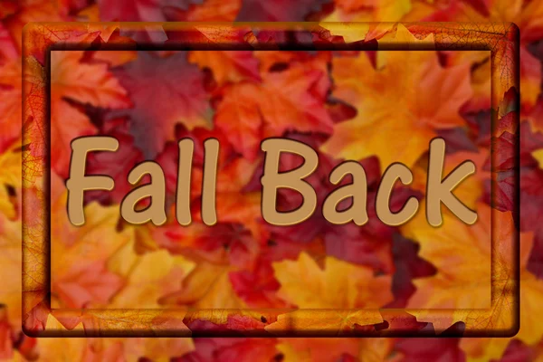 Fall Back Message