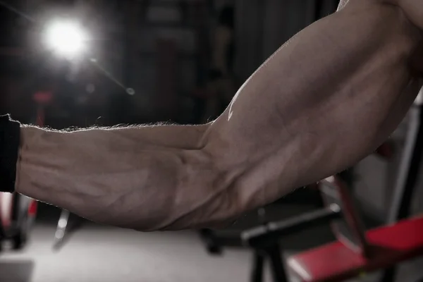 Bodybuilder posing in gym. Perfect muscular male biceps
