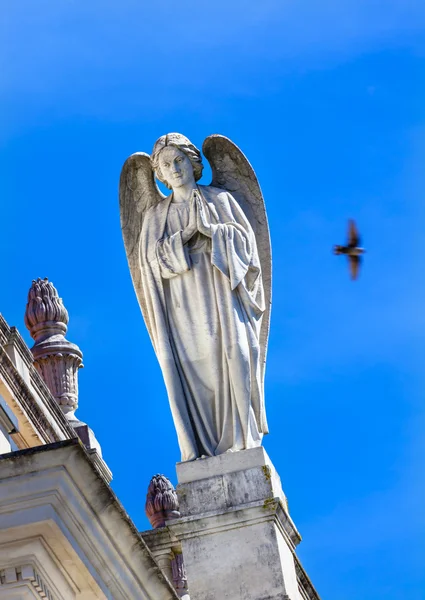 Stone Angel Dove Basilica of Lady of Rosary Fatima Portugal